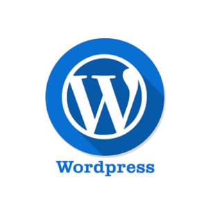 Wordpress Theme